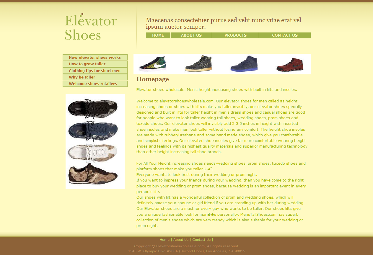 FireShot Screen Capture #055 - 'Elevator Shoes Wholesale _ Home' - elevatorshoeswholesale_bkserver1_com.png